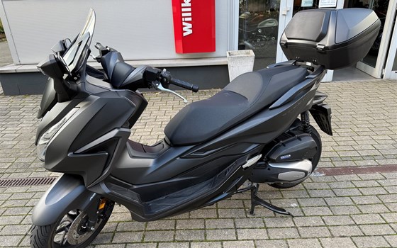 Gebrauchtmotorrad Honda Forza 125 - Bild 4