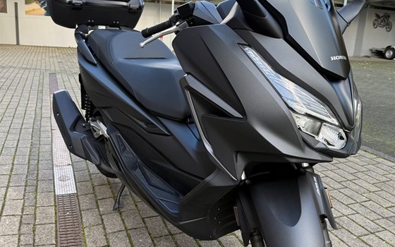 Gebrauchtmotorrad Honda Forza 125 - Bild 9