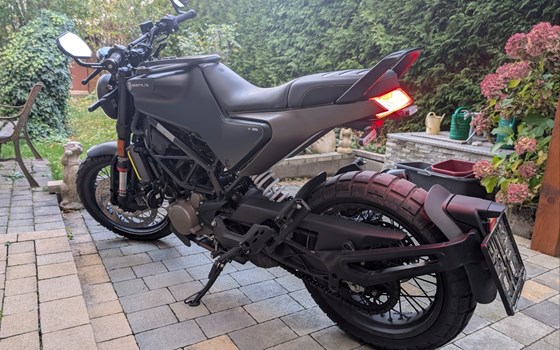 Gebrauchtmotorrad Husqvarna Svartpilen 125 - Bild 3