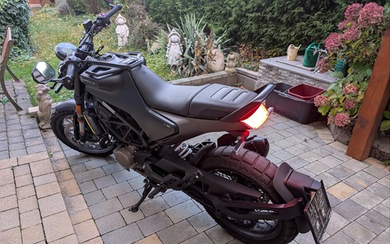 Gebrauchtmotorrad Husqvarna Svartpilen 125 - Bild 5