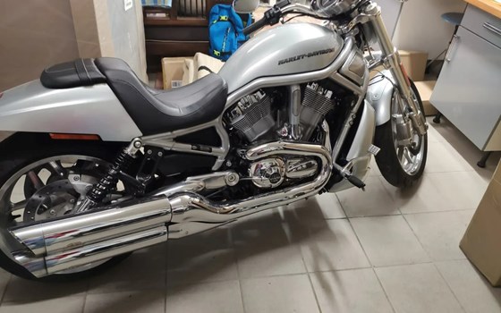 Motorrad Occasion Harley-Davidson Night Rod Special VRSCDX - Bild 2