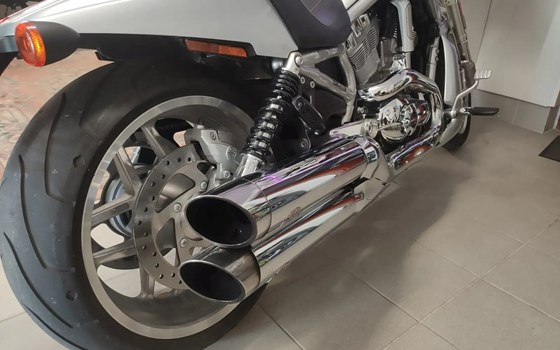 Motorrad Occasion Harley-Davidson Night Rod Special VRSCDX - Bild 3