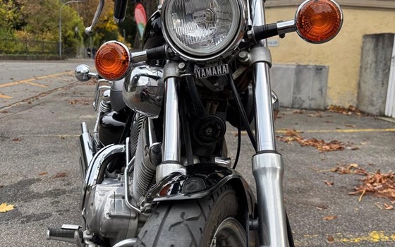 Offerta Yamaha XV 535 Virago - Immagine 3