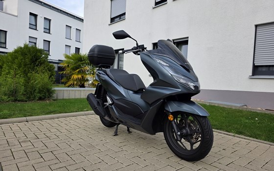 Gebrauchtmotorrad Honda PCX125 - Bild 1