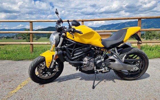 Motorrad Occasion Ducati Monster 821 - Bild 1