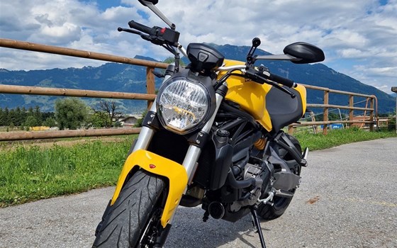 Motorrad Occasion Ducati Monster 821 - Bild 2