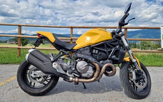 Motorrad Occasion Ducati Monster 821 - Bild 3