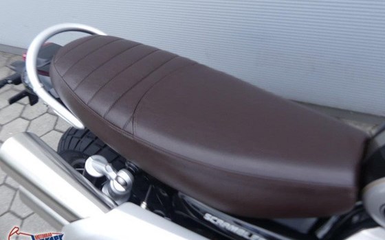 Gebrauchtmotorrad Triumph Scrambler 1200 X - Bild 3