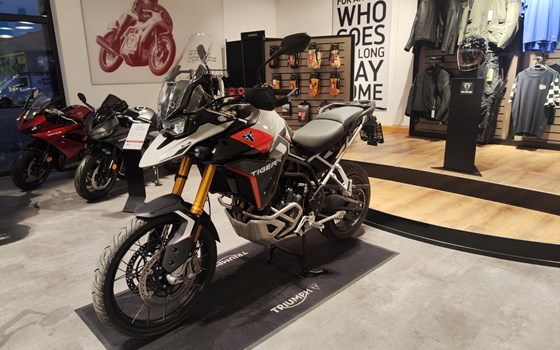 Gebrauchtmotorrad Triumph Tiger 900 Rally Pro - Bild 3