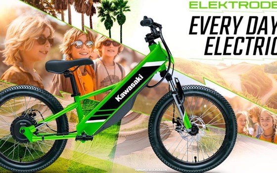 Neufahrzeug Kawasaki Elektrode 20 - Bild 1