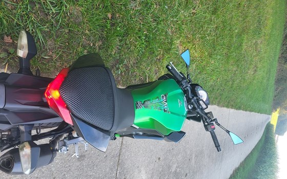 Motorrad Occasion Kawasaki Z 300 - Bild 1