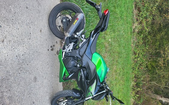 Motorrad Occasion Kawasaki Z 300 - Bild 3