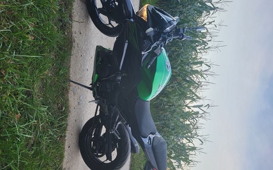 Motorrad Occasion Kawasaki Z 300 - Bild 5