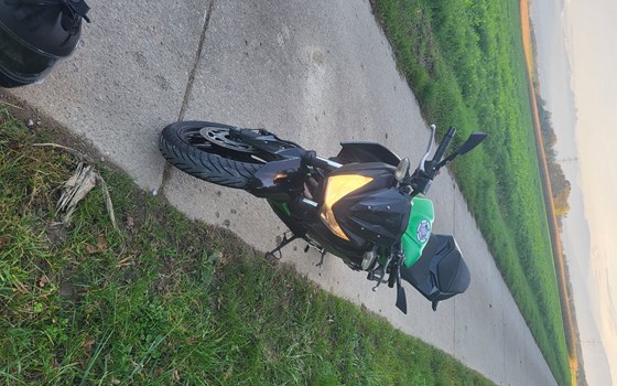 Motorrad Occasion Kawasaki Z 300 - Bild 7