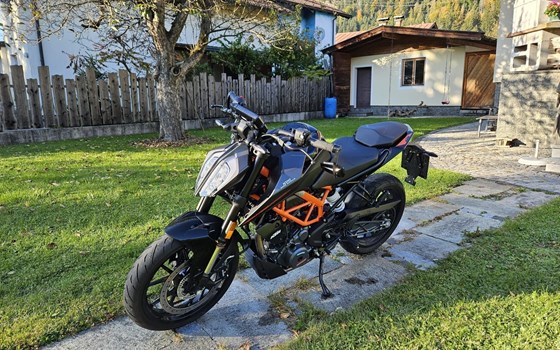 Gebrauchtmotorrad KTM 390 Duke - Bild 3