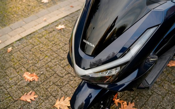 Neufahrzeug Honda PCX125 DX - Bild 3