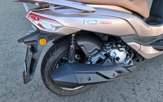 Gebrauchtmotorrad Sym HD 300 - Bild 3