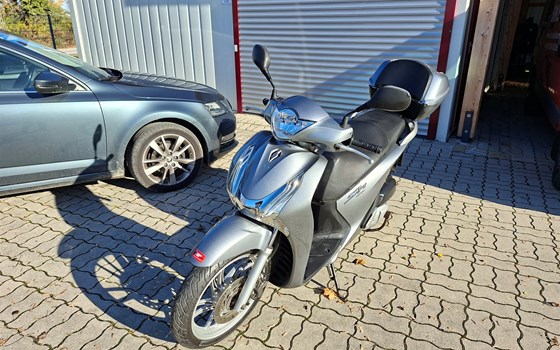 Gebrauchtmotorrad Honda SH125i - Bild 2