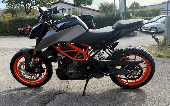 Gebrauchtmotorrad KTM 390 Duke - Bild 2