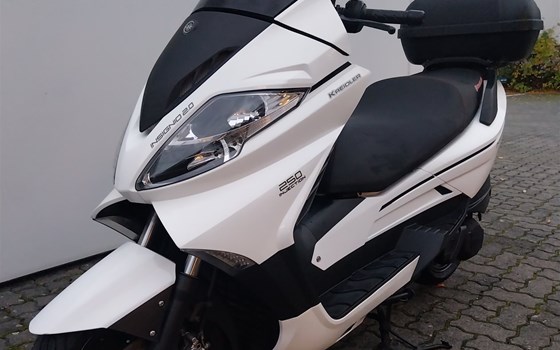 Gebrauchtmotorrad Kreidler Insignio 2.0 250 - Bild 11