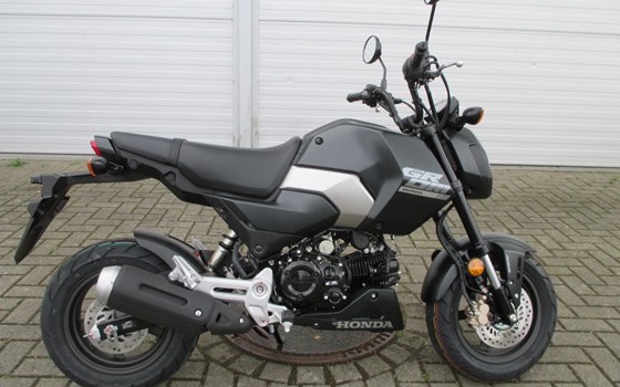 Neufahrzeug Honda MSX125 Grom - Bild 1