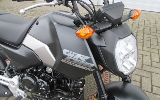 Neufahrzeug Honda MSX125 Grom - Bild 2