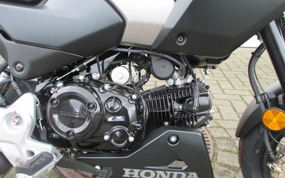 Neufahrzeug Honda MSX125 Grom - Bild 3