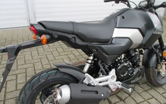 Neufahrzeug Honda MSX125 Grom - Bild 5