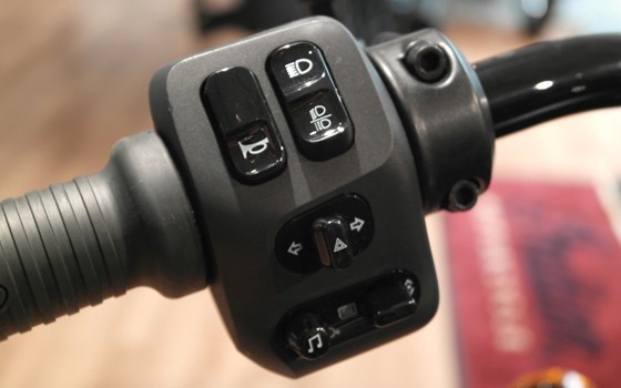 Neufahrzeug Indian Chief Dark Horse - Bild 14