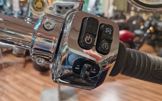 Neufahrzeug Indian Springfield - Bild 12