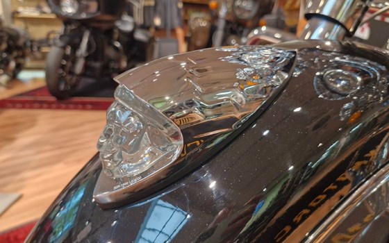 Neufahrzeug Indian Springfield - Bild 16