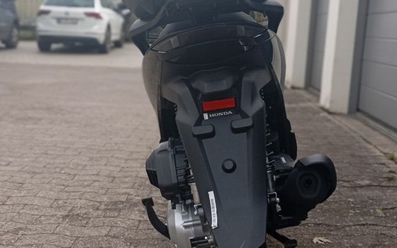 Neufahrzeug Honda SH150i - Bild 4