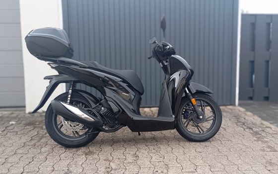 Neufahrzeug Honda SH150i - Bild 8