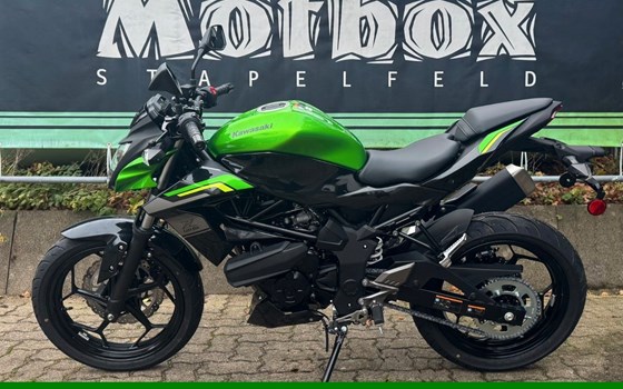 Neufahrzeug Kawasaki Z125 - Bild 2