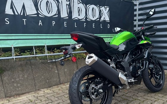 Neufahrzeug Kawasaki Z125 - Bild 8