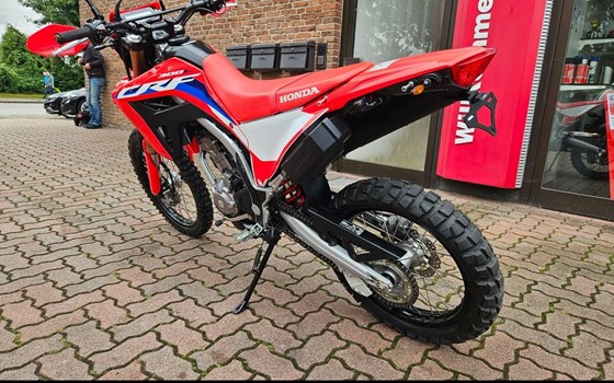 Gebrauchtmotorrad Honda CRF300L - Bild 3