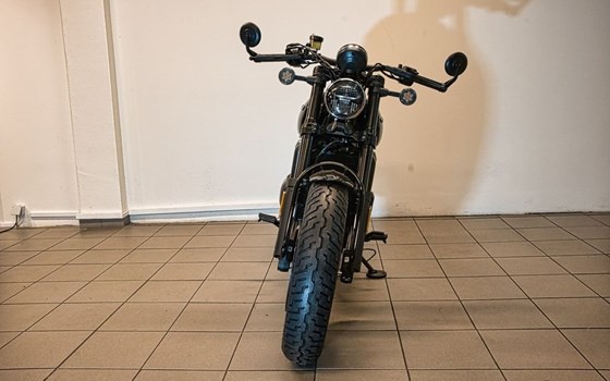 Neufahrzeug CFMOTO 450CL-C	Bobber - Bild 5