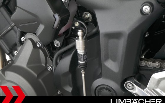 Gebrauchtmotorrad Triumph Trident 660 - Bild 14