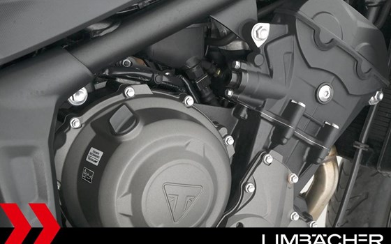 Gebrauchtmotorrad Triumph Trident 660 - Bild 16