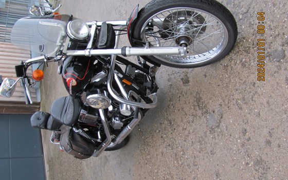 Gebrauchtmotorrad Harley-Davidson Softail Evo 1340 - Bild 6