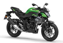 Neumotorrad Kawasaki Z125