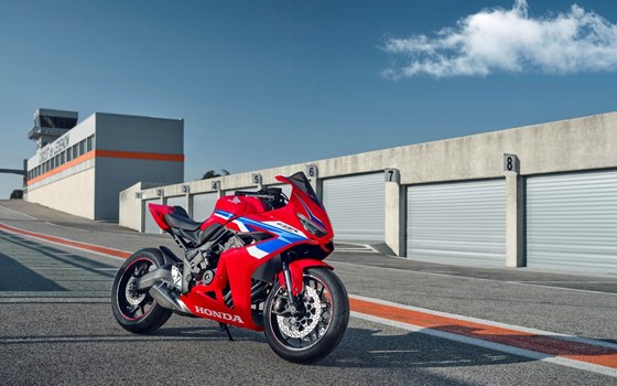 Neufahrzeug Honda CBR650R E-Clutch - Bild 8
