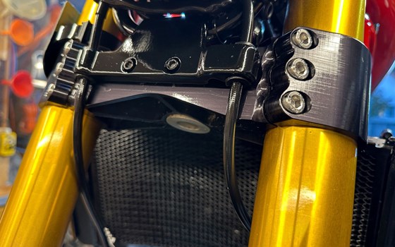 Gebrauchtmotorrad Ducati Monster S4RS - Bild 5