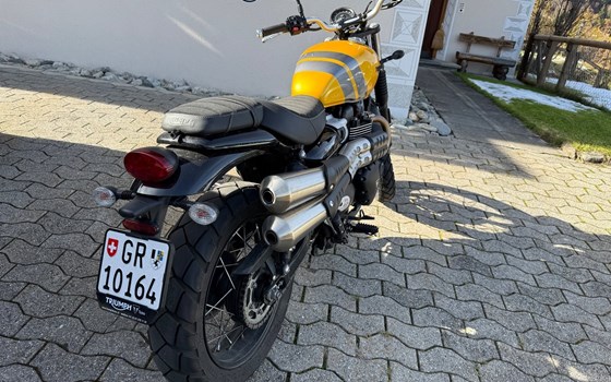 Motorrad Occasion Triumph Scrambler - Bild 2