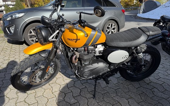 Motorrad Occasion Triumph Scrambler - Bild 3