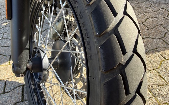 Motorrad Occasion Triumph Scrambler - Bild 5