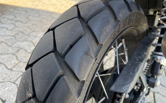 Motorrad Occasion Triumph Scrambler - Bild 6