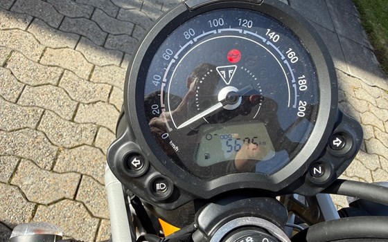 Motorrad Occasion Triumph Scrambler - Bild 8