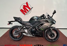 Neumotorrad Kawasaki Ninja 650