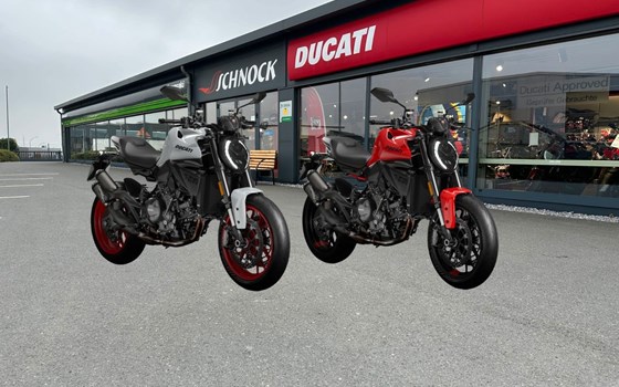 Neufahrzeug Ducati Monster + - Bild 1